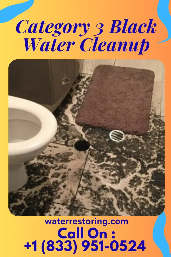 Category 3 Black Water Cleanup in Virgil, SD